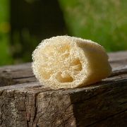 Lufa - přírodní houba - 15cm