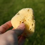 Mořská houbička hedvábná mini - bělená